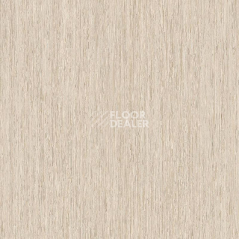 Линолеум Tarkett iq Optima LIGHT SAND BEIGE 0246 фото 1 | FLOORDEALER